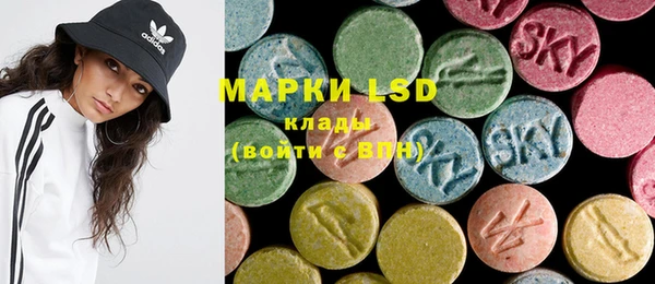 ECSTASY Алзамай