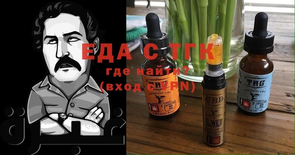 ECSTASY Алзамай