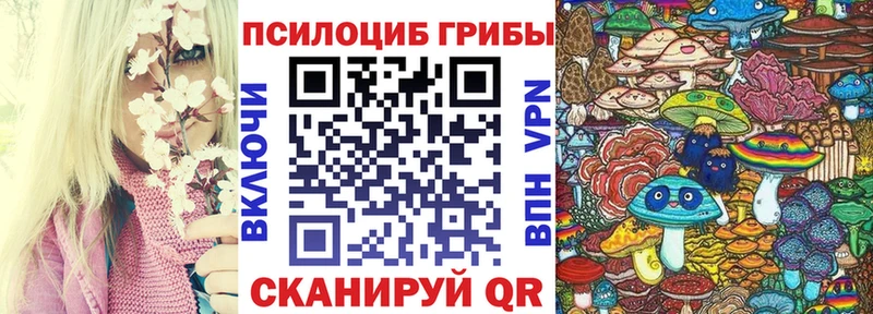 Псилоцибиновые грибы Magic Shrooms  магазин продажи   Балашов 